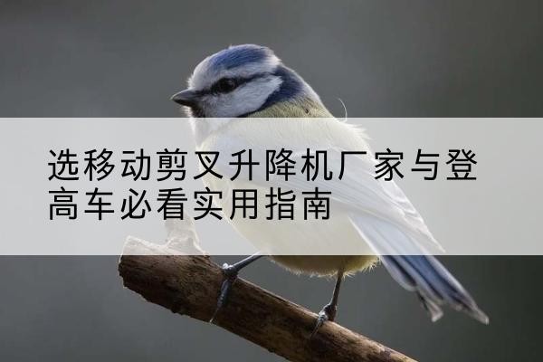 亳州电动升降机厂家-选移动剪叉升降机厂家与登高车必看实用指南