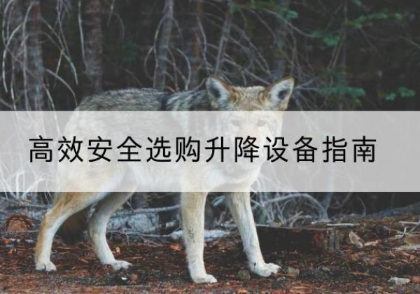 亳州升降货梯厂家推荐-*安全选购升降设备指南