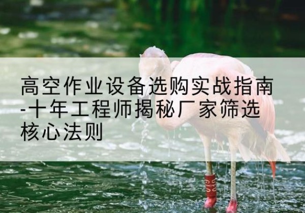 亳州剪叉式升降机厂家-高空作业设备选购实战指南-十年工程师揭秘厂家筛选核心法则